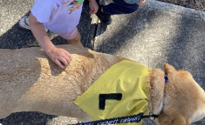 Therapy Dog Program at Gowrie Victoria Broadmeadows Valley