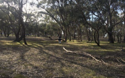 Bush Kinder Project