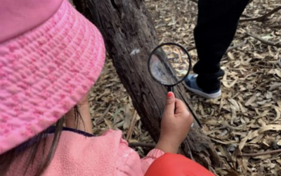 Connecting to Country and Community: Gowrie Victoria Broadmeadows Valley